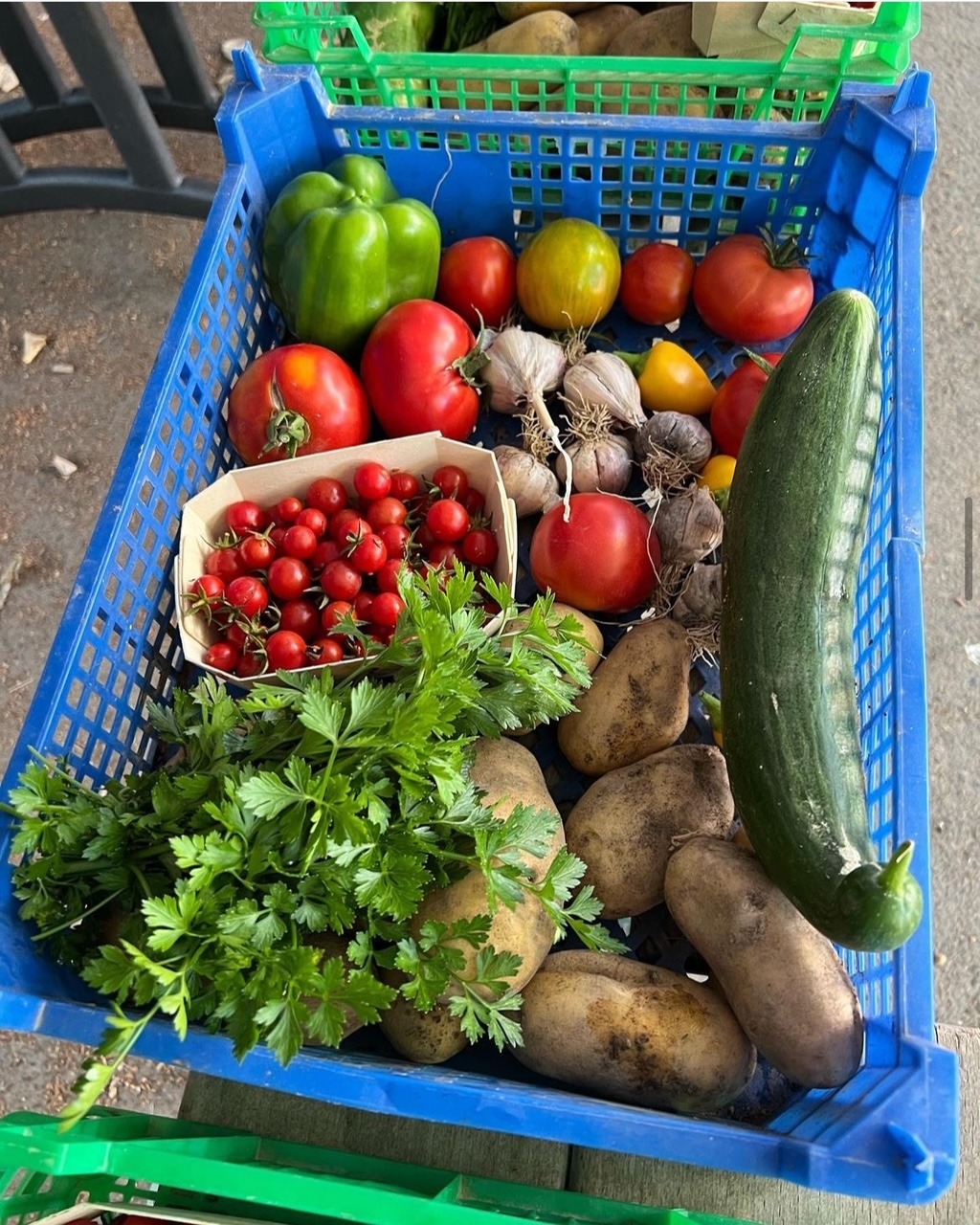 Panier de légumes